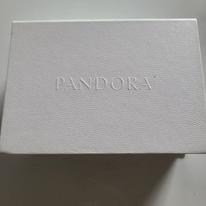 New Pandora Cleaning Kit
